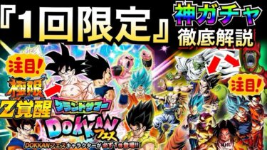 『1回限定神ガチャ』グランドサマードッカンフェスが激アツなので徹底解説！！【ドッカンバトル】【地球育ちのげるし】