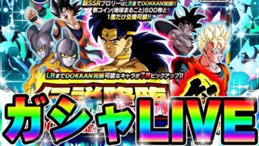 【ドカバト生】夏の大型ガシャライブ開幕じゃい！！！ドッカンフェス＆伝説降臨祭【ドッカンバトル】【DRAGONBALL Z Dokkan Battle】