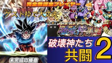 【ドラゴンボールZドッカンバトル】完全無課金プレイヤー　破壊神集結　共闘２ 今回極限した２体使用し攻略 　無課金者攻略可能【Dragon Ball Z Dokkan Battle】