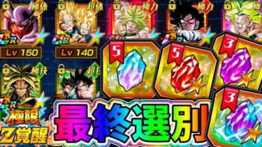 【ドッカンバトル】世界同時CP プレミア厶龍石 セレクト龍石 メモリアル龍石の最終選別！【DragonBallZDokkanBattle】