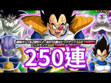 ベジータ 250連 ガシャ Vegeta 250 Summonsドッカンバトル Dokkan Battle 龍珠Z爆裂激戰