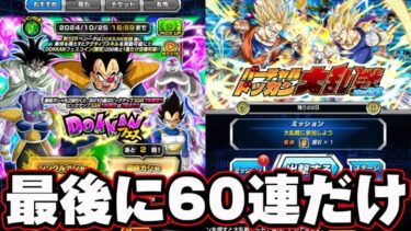 【ドッカンバトル】このアイテムを手に入れた俺ならこんなん楽勝よ【DRAGONBALL Z Dokkan Battle】