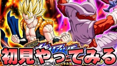 【ドッカンバトル】なんか難しいらしいな【DRAGONBALL Z Dokkan Battle】