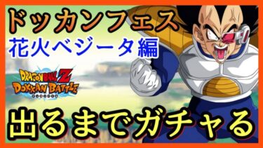 【ドッカンバトル】ガチャる！踏み出したら止まれない！ドッカンフェス花火ベジータ！キュイ！【Dragon Ball Z Dokkan Battle】