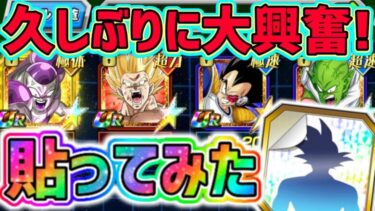 【ドッカンバトル】スペシャルステッカー ナメック星編キャラ達に貼ったら久しぶりに大興奮！【DragonBallZDokkanBattle】