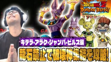 【ドラゴンボールZ ドッカンバトル】龍石禁止で破壊神集結攻略！ビルス様って…強かったんだねぇ…。