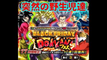 【ドッカンバトル】１０周年までに龍石を貯めさせる気がないドッカン運営の策略にまんまと引っかかるガチャ動画