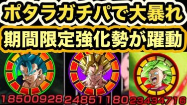 3周年ベジットがヤバすぎるポタラガチパでミッション攻略！【ドッカンバトル】【Dragon Ball Z Dokkan Battle】