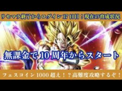 リセマラ終了からログイン17日目！現在の育成状況！フェスコイン1000枚越え！？【ドッカンバトル】