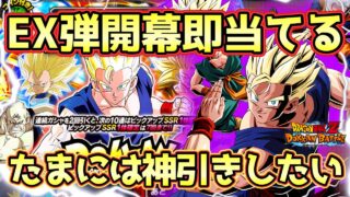 【ドッカンバトル】チケットで14回無料で引ける!新フェス限LR混血トリオ狙いのドッカンフェスで神引きなるか?たまにはね。