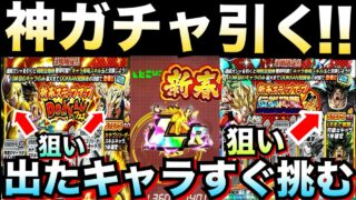 豪華神キャラ出まくり..『新春フェス&伝説降臨祭』引いて出たキャラすぐ編成して挑む!!ゴルフリゴジータ/混血トリオ/怒りブロリー【ドッカンバトル】【地球育ちのげるし】