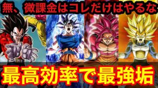 【ドッカンバトル 11周年 微, 無課金者は絶対に見て 追いガシャ、凸上げ リンク上げ 最高率で11周年最強垢に近づけろ4ベジータ 身勝手の極 】ドッカンフェス【 ドカバト ドラゴンボール