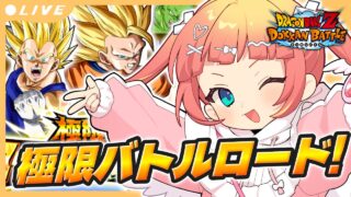 【ドッカンバトル】11周年後半に向けて龍石を集める回!!極限スーパーバトルロード!【 #Vtuber】