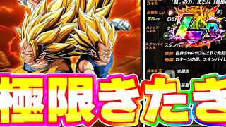 8周年の極限性能がきたきたきたー!!!!【ドッカンバトル】