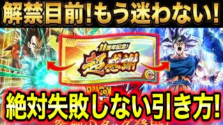 「マネするだけでOK」超感謝チケットの『絶対に損しない引き方』をパターン別にスライド完全解説。初心者・復帰勢向け【ドッカンバトル】