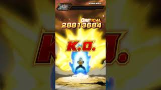 PHY LR SSBE Vegeta SA K.O. Screen