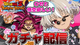 【ドラゴンボールZ ドッカンバトル】最大260連!?ロゼと悟空引きに行くぞーー!!【 灰音シャル/個人勢 】