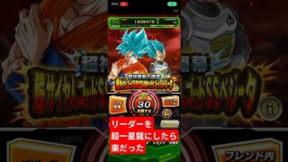 【リーダーを超一星龍にしたら楽だった】極限Zバトル 超サイヤ人ゴッドSS孫悟空&超サイヤ人ゴッドSSベジータ#ドッカンバトル #極限Zバトル#攻略