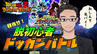 【ドッカンバトル】目指せ!脱初心者🔰#12 期間内最後の11周年第2弾ガシャ回しつつ高難度に挑戦!【初心者プレイ】