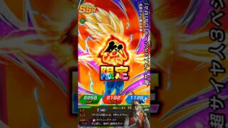 【ドラゴンボール】超感謝ガシャチケ50枚投資した結果 ドッカンバトル11周年 2026 0303【ドッカンバトル、ドラゴンボールDAIMA、DokkanBattle】