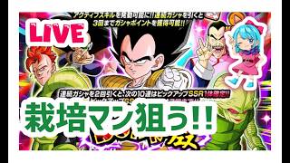 【ドッカンバトルLIVE】栽培マン狙ってドッカンフェス!!