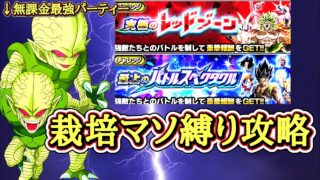 【ドッカンバトル】本日爆誕した無課金最強栽培マンパーティーで『レッドゾーン、バトルスペクタクル』 全ステージ攻略チャレンジ!