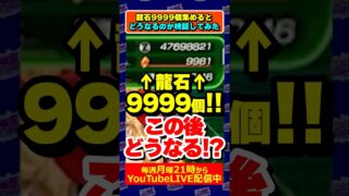 龍石が10000個あるとどうなる? #龍石 #限界突破 #ドッカンバトル