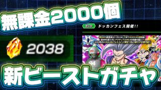 無課金龍石2000個で挑むビーストDOKKANフェス!!!温存したいけどこれは引くしかねぇ!!でこのキャラ強いの?【ドッカンバトル】