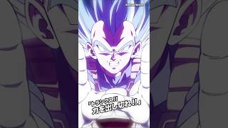 MAX Power LR SSB Vegeta + Goku
