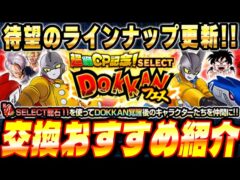 【選ぶ前に見て!!!】SELECT龍石11で交換するべきオススメ紹介!│ドッカンバトル【ソニオTV】