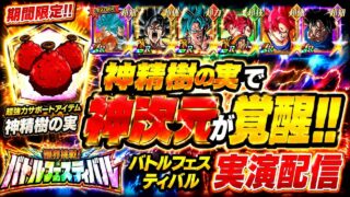 【ドッカンバトル】ネ申次元カテゴリが神精樹の実で覚醒!『バトルフェスティバル』実演解説!【完全攻略】