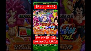 【ドッカンバトル】チケット引いたらDOKKANフェス来た‼︎…part233「ロウ」