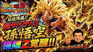 ドラゴンボールZドッカンバトル極限Z覚醒&LR一体完成✨