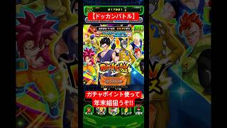 【ドッカンバトル】ガチャポイント使って年末組狙うぞ‼︎…part223「ロウ」