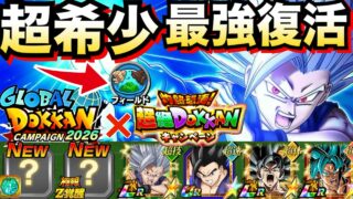 『超希少×最強キャラ』控えめに言って..ヤバすぎ徹底解説!!【ドッカンバトル】【地球育ちのげるし】