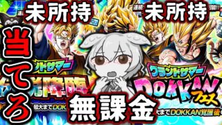 【一発勝負】無課金が当てられなかったLRを求めてグランドサマードッカンフェスを回した末路【ドッカンバトル ガチャ】